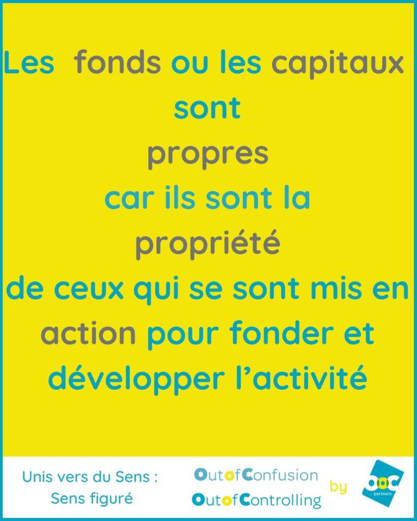 Fonds Propres des actionnaires